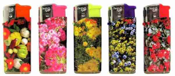 David Ross Fzg. el. MINI