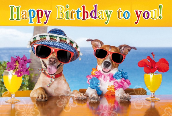 Bill. Geburtstag  Hunde Bill. Geburtstag  Hunde