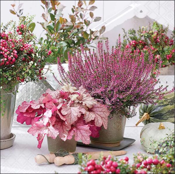 Servietten 33/33 Herbstblumen
