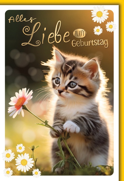 Bill. Geburtstag Katze Bill. Geburtstag Katze