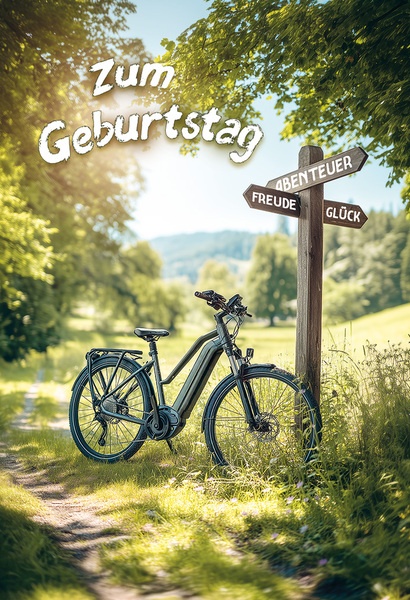 Bill. Geburtstag E-Bike
