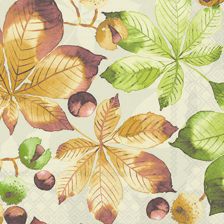 Serv. 25/25 Amb. Kastanien