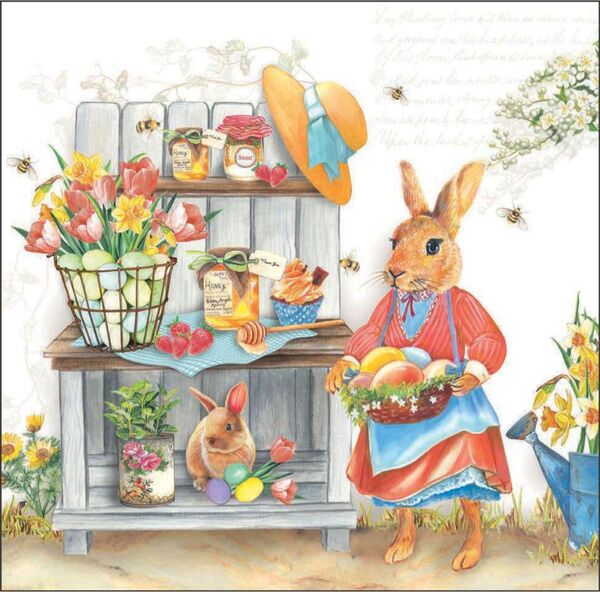 O-Serv. 33/33 Amb. O.Hasenfrau