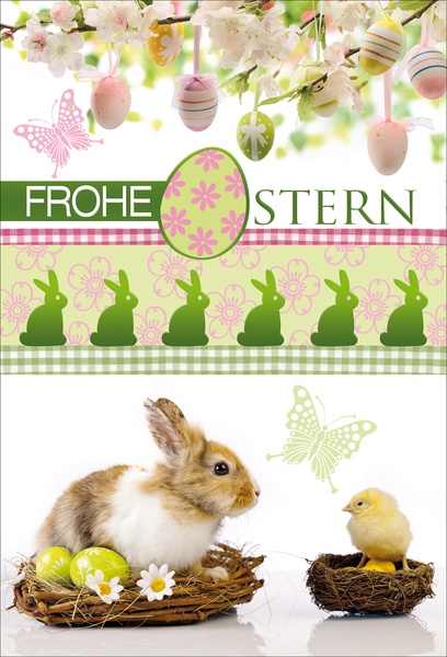 Bill. Ostern Hase/Küken
