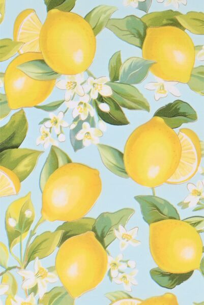 Geschenk-Seide 50 / 75