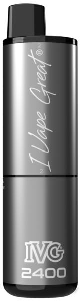 IVG 2400 Gerät Silver