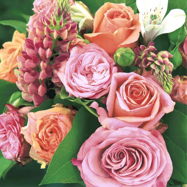 Servietten 33/33 P&D Rosen