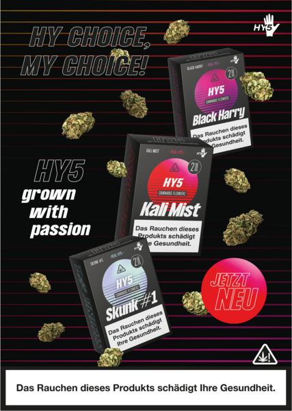 HY5 Poster A3 HY5 Poster A3