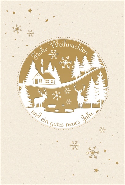 Whn. Bill. go/beige metallic