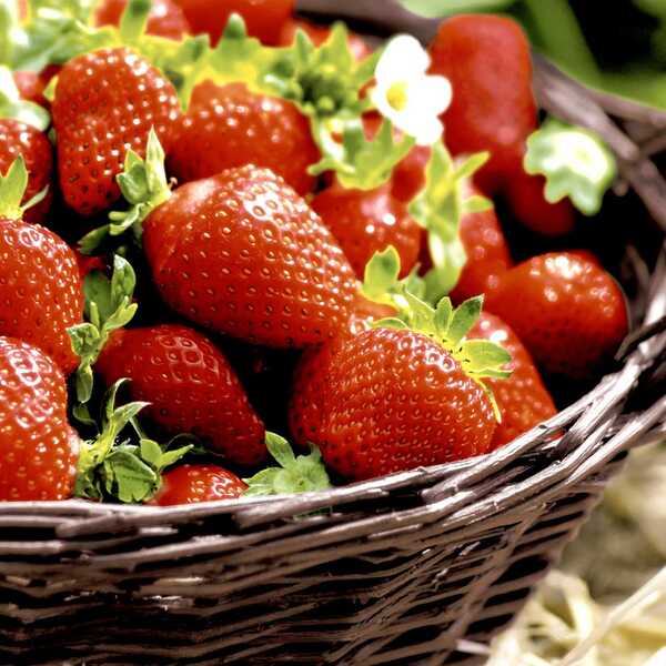 Serv. 33/33 P&D Erdbeeren