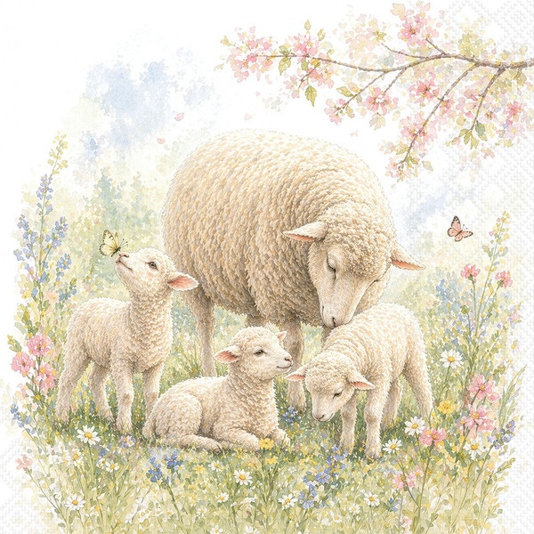 O-Serv. 33/33 Schaf-Familie