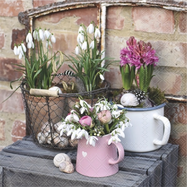 Serv.33/33 Amb. Winterblumen