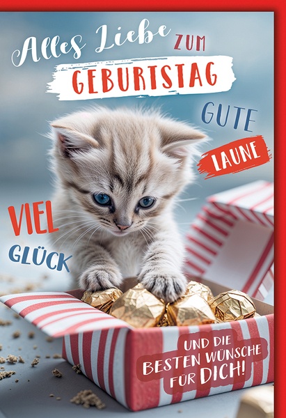 Bill. Geburtstag Katze