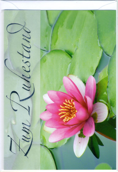 Bill. Ruhestand Seerose Bill. Ruhestand Seerose