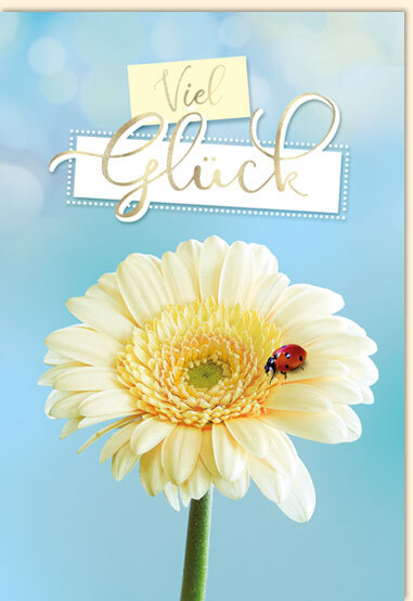Bill. allg.Glückwunsch Gerbera Bill. allg.Glückwunsch Gerbera