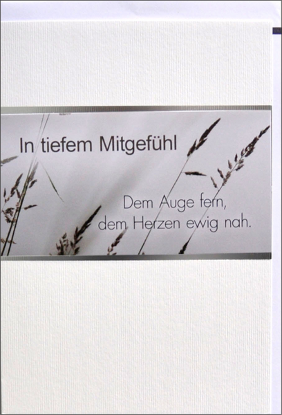 Bill. Trauer Mitgefühl