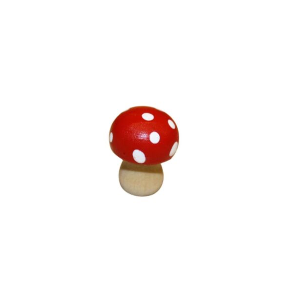 Holz Pilz 1,5 cm
