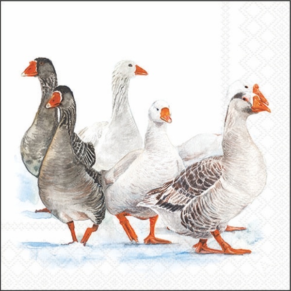 Servietten 33/33 Amb. Gänse Servietten 33/33 Amb. Gänse