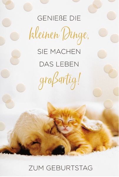 Bill. Geburtstag   Hund/Katze