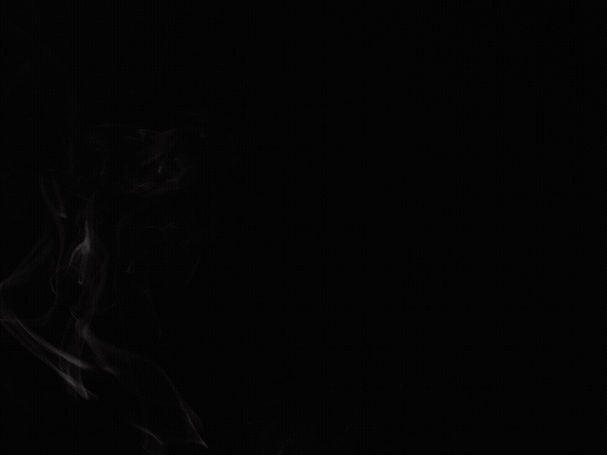 Online Aktion: 27.02.–01.03.